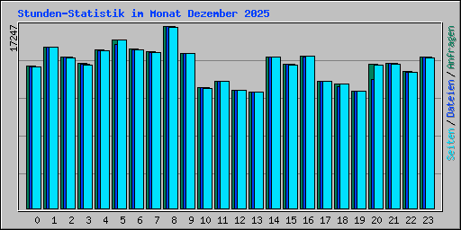 Stunden-Statistik im Monat Dezember 2025